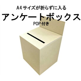 特大アンケートボックス クラフト(ノーマルダンボール色）ダンボール (回収箱 応募箱 抽選箱 投票箱 キャンペーン BOXなど）