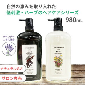 wAPA Vv[ RfBVi[ Zbg n[u GLXz Tꔄi _ x_[ n[u O[X ERVv[101 980mL e i`wA ERRfBVi[ 980mL 2_