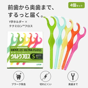 ܂悤@tX@y4ZbgzDENT.EX fgEX EgtX S 10{ 10{ ׂ ԗp f^tX Y Y^z_[ eN~ JԂg OK ؂ɂ