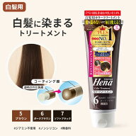 白髪染め テンスター ヘナ カラートリートメント 250g ヘナトリートメント 白髪ケア HC色素 無香料 ツヤ…