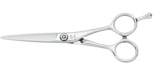 �W���[�E�F�� joewell JS-550 �J�b�g�V�U�[�Y 5.5�C���` JOEWELL JS