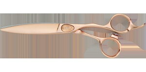 W[EF joewell XPG-610B JbgVU[Y XChJbg AFLOATR{VU[Y sNS[hR[eBO