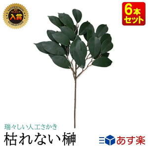 榊 花の人気商品 通販 価格比較 価格 Com 榊 花の人気商品 通販 価格比較 価格 Com