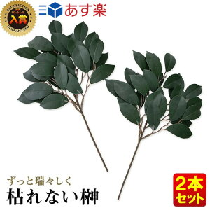 榊 花の人気商品 通販 価格比較 価格 Com