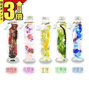 yP3{}\z_ n[oE Mtg@n[oE bh sN CG[S[h O[ u[  v[g j J^ _   lH  TJL 