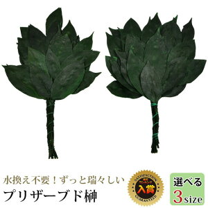 _ yyV1ʁz  TJL Zbg vU[uh 1΁i2{Zbgj wIׂ3TCY ~jEʏETCYx _  lH  Zbg _   _ _I