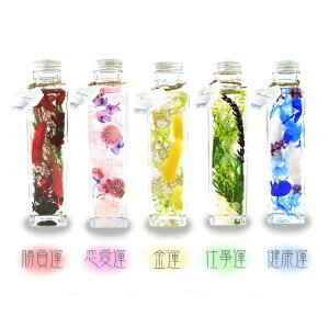 _ n[oE Mtg@n[oE bh sN CG[S[h O[ u[  v[g j J^ _   lH  TJL  