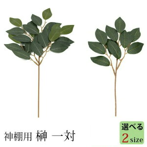  _ _  2  ɏ   2{Zbg [֑Ή  _I  t _ c _kd 