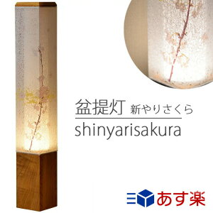  _Ȓ񓔐V肳Pi 55cm dCR[h Za 򕌌Y LEDƖ Y VR؎gp  _  RpNg X  _ _I _  ~ V~ ~ ~ 