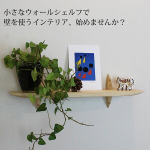 Ǌ|I[40zCg ΍p{[hǐp I ViCށiqmLƎؕj410x100x120mm ω׏d5kg ICtBjbV sŌŒ EH[VFt ΍p{[h