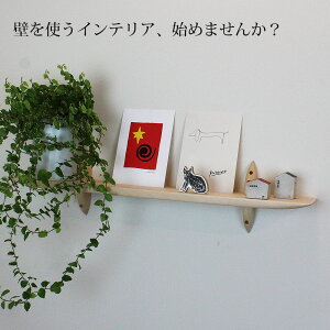 Ǌ|I[56zCg ΍p{[hǐp I ViCށiqmLƎؕj560x110x130mm ω׏d5kg ICtBjbV sŌŒ EH[VFt ΍p{[h