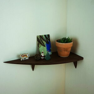 R[i[VFt EH[VFt ΍p{[h JhO[ EEH[ibgڗȂ sŌŒ 500x200x130mmω׏d5kg  _  C100