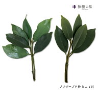 神棚 榊 神饌 プリザーブド榊 ミニ 1対 あす楽
