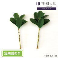 神棚 神具 お供え 八丈榊 ミニ 一対 純国産 榊 モダン神具に合う 小さめ