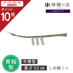 yX[p[SALE|Cg10{z ߓ A ߓ ~j  52cm t ŕt  Zbg