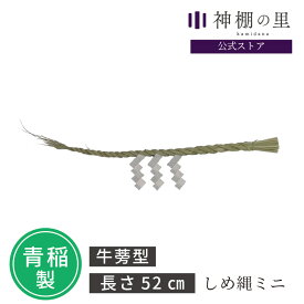 しめ縄 注連縄 しめ縄 ミニ 幅 約52cm 紙垂付き しで付き 紙 セット