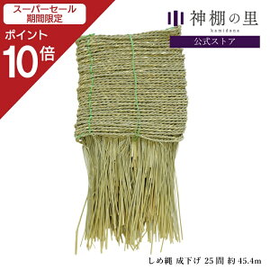 yX[p[SALE|Cg10{z ߓ  25 45.4m Ղ _ n