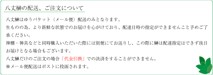 純国産八丈榊(小)1房