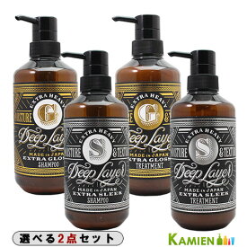 ビーエックス ディープレイヤー シャンプー 500ml トリートメント 470g 合計2点セット【ゆうパック対応】