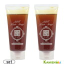 グランデックス 和漢彩染 十八番 APT ヘアソープ 100ml 合計2点セット【宅急便コンパクト対応】