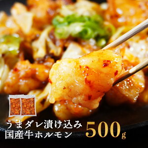 yeʂŏpbNz Yz 500g Z܃_Ђ 250g×2pbN    c Ⓚ  ֗1TCY e ē BBQ o[xL[  p[eB[ }`E ے