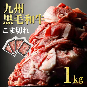 ylCz A4EA5N BY  a ܐ؂ K 1kg (250g×4pbN) ؂藎Ƃ  ؂ Ă 