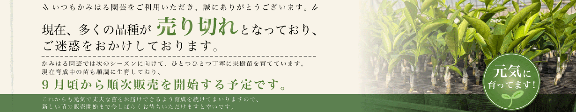 売り切れ案内2026