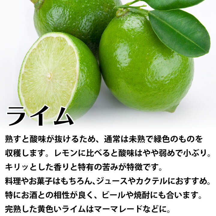 楽天市場】ライム 苗木 [小] 9cmポット 【1本で実る】 3号 鉢植え 