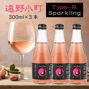 yz쏬 Type-R Xp[NO 300ml { 1{Zbg 3{Zbg sake n v[g p ̂Ήy  Ɏ𑢁z