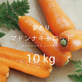 【訳あり】　今シーズン最後！　送料送料無料 2月上旬発送　にんじん　人参マドンナキャロット 10kg 大小混合 40本前後 皮ごと食べれる 子供も食べれる 甘み豊か 国産 愛知県産　碧南にんじん　野菜 生鮮食品 　冬季限定