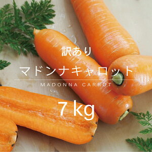 y󂠂z@ 12{@s\@}hiLbg7kg lQ ɂ񂶂 @召 30{O 炲ƐHׂ qHׂ ÂݖL Y mY@ɓɂ񂶂@ 