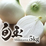 【秀品5kg】 満天☆青空レストランにでました！　新玉ねぎ　たまねぎ　旬玉　サラダ新玉ねぎ　5月上旬発…