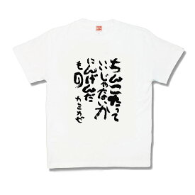 【おもしろTシャツ】【楽天限定☆カラー】いいじゃないか