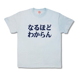 【おもしろTシャツ】なるほどわからん