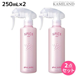 y12/1|Cg3{zA~m XpCX ~Xg OXEH[^[ 250mL ×2 Zbg / e Tꔄi e@ wAPA X^CO ~Xg ێ@_[WPA