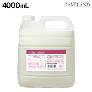 A~m J[Xg[[ CXg RfBVi[ 4000mL / yz lߑւ Ɩp 4L e Tꔄi eꔄ ߕi