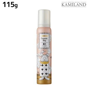 y11/1|Cg3{zf~ EF[{ WJ[ LCNzCbv6 115g / Tꔄi e@ wAPA X^CO [X demi f~ e ߕi