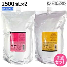 ルベル イオ リコミント 2500mL × 2点 セット 《 クレンジング ・ ルートサプリ 》 / 【送料無料】 詰め替え 業務用 2.5L 美容室 サロン専売品 美容院 ヘアケア タカラベルモント lebel ルベル セット おすすめ