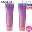 【ポイント3倍以上!20日20時から】ミルボン エルジューダ ブリーチケア ジェルセラム 120mL ×2個 セット / 【送料無料】 洗い流さない トリートメント アウトバス 美容室 サロン専売品 美容院 ヘアケア milbon 定番