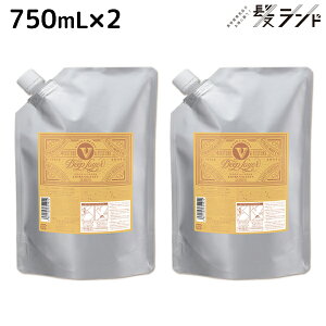 モルトベーネ ディープレイヤー シャンプー ExV(エクストラ ベルベッティ) 750mL 詰め替え ×2個 セット / 【送料無料】 b-ex 美容室専売品 サロン専売 ヘアケア シャンプー ダメージケア 熱 ア