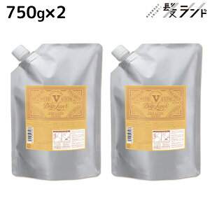 モルトベーネ ディープレイヤー トリートメント ExV(エクストラ ベルベッティ) 750g 詰め替え ×2個 セット / 【送料無料】 b-ex 美容室専売品 サロン専売 ヘアケア シャンプー ダメージケア