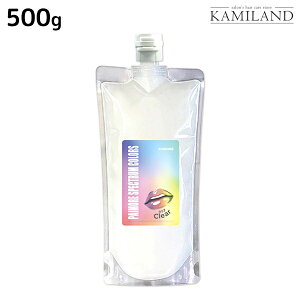 y12/1|Cg3{zpCA XyNgJ[Y NA 500g / e Tꔄi e@ wAPA wAJ[ J[g[gg