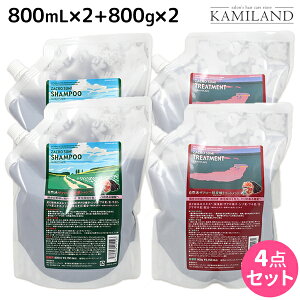 y11/25|Cg3{ȏzTj[vCX UNY_ Vv[ 800mL ×2 + g[gg 800g ×2 lߑւ Zbg / yze Tꔄi e@ wAPA Tj[v