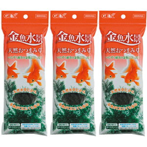 yK̔XzGEX WFbNX i VR܂ݑ    Ϗ܋  ANAEySiz(NbN|Xg CPT)