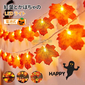 _VXZ[N[|^nEB  nEB Cg nEB^ nEB u nEBObY v  ^ LED Cg ڂ  fR[V n