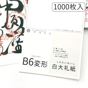 ݂ 󏑂upa LTCY 玆 1000 17.5×11.5(cm) B6ό`  玆  up W    n pr ܂Ƃߔ v^[p  _ 