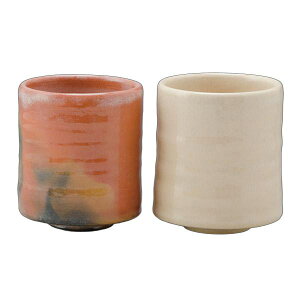 FJX yA UCK183ugy 2ZbgvĂ܂ [J[i vw     Rbv Ă Jbv   H CeA zj j j v[