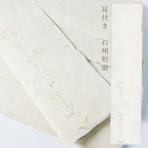 ݂ ΏBZF t ؔō   36.3×8(cm) 1 ΏB a   ӂ΂ tWoJ} H  lG a   K    y