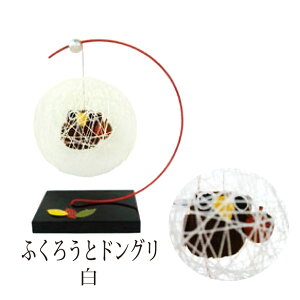 y}\ő1500~N[|zsjd-b-003 ~jĂ܂uӂ낤ƃhO()v[J[i r[ G߂̂  u G v[g Mtg