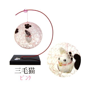 sjd-b-006 ~jĂ܂uOєL(sN)v[J[i r[ G߂̂  u G v[g Mtg